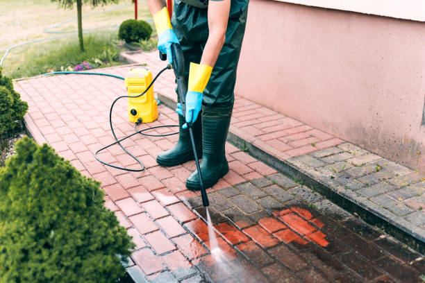 Best Pressure Washing Near Me  in Viola, IL