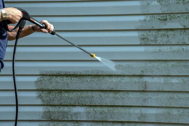 Best Commercial Pressure Washing  in Viola, IL