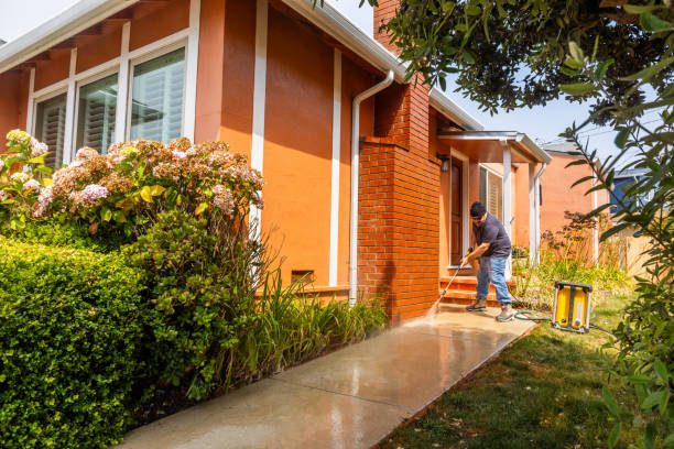  Viola, IL Pressure Washing Pros