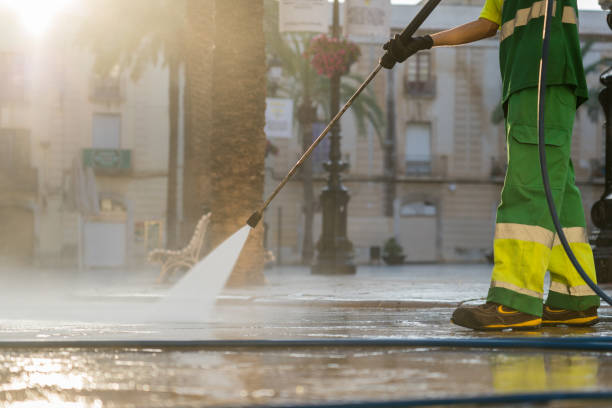 Best Sidewalk Pressure Washing  in Viola, IL
